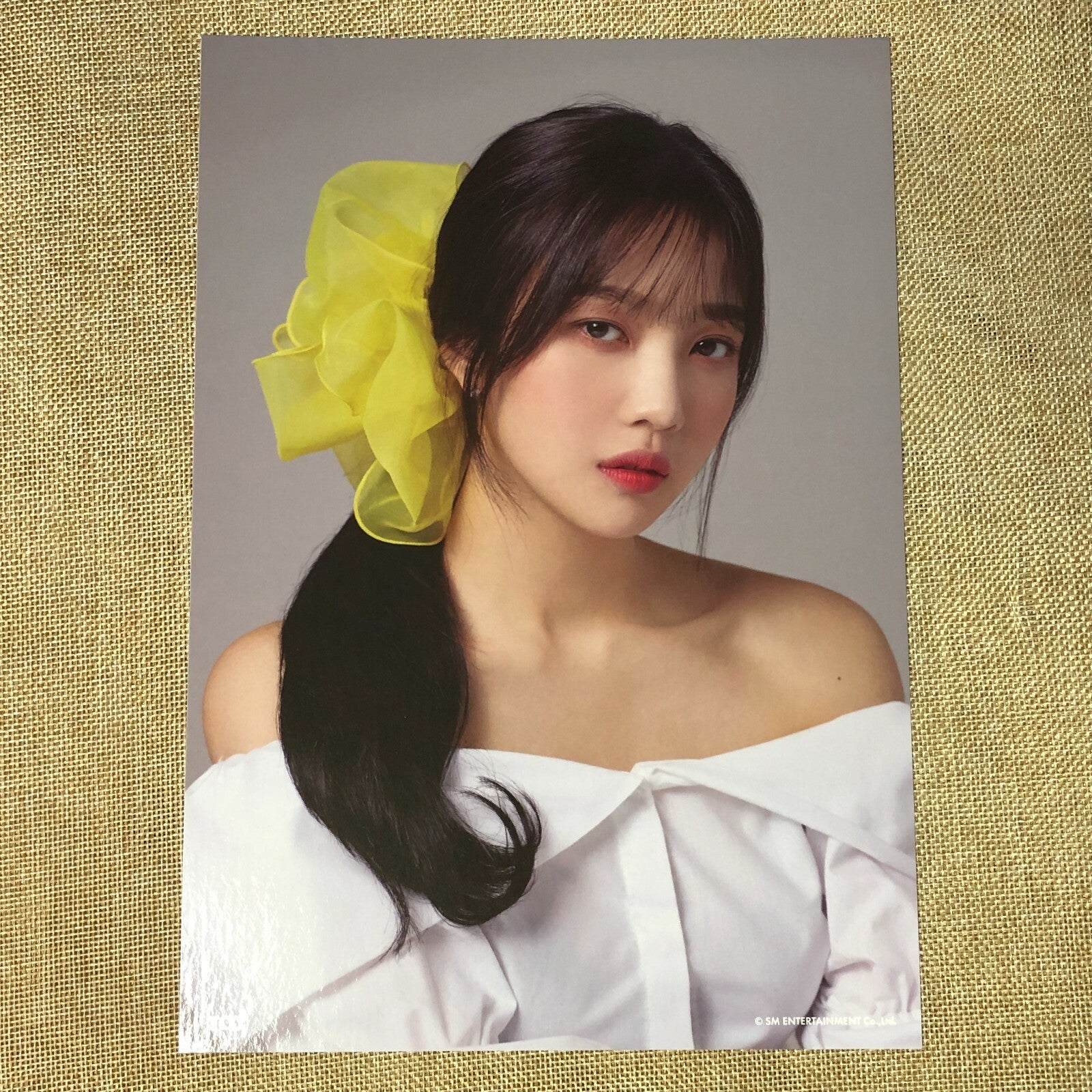RED VELVET JOY #1 [ 2019 Season's Greetings ] Official A4 Poster / New / Gift