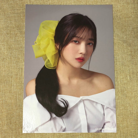 RED VELVET JOY #1 [ 2019 Season's Greetings ] Official A4 Poster / New / Gift
