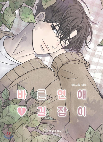 Romance 101 Vol 1 / Original Korean Webtoon Book Manhwa Comics / New / Gift