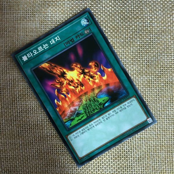 Yugioh Burning Land / 15AY-KRA31 / Common Rare / Korean Ver / Mint / Gift