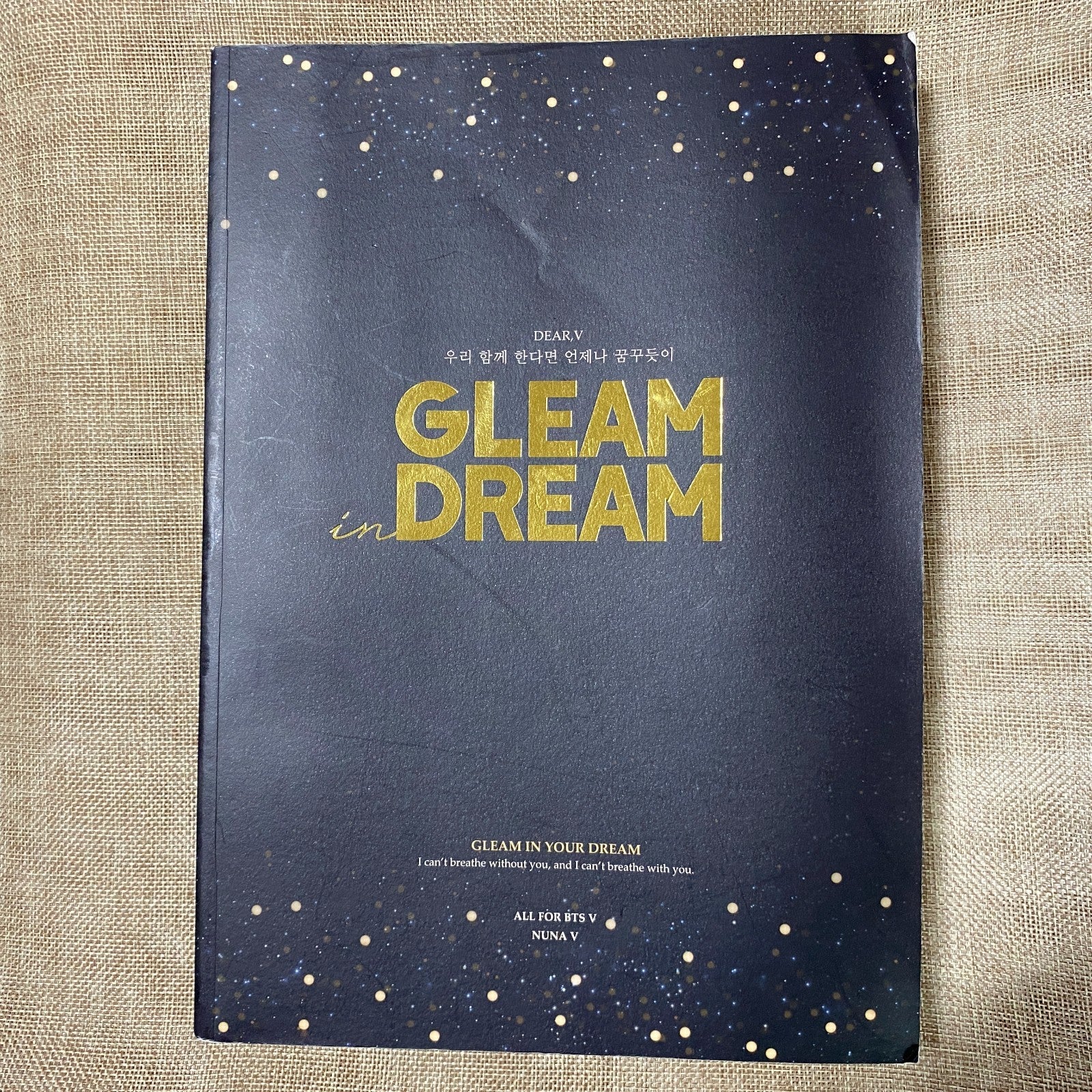 BTS V [ GLEAM DREAM Exhibition Photobook ] Nuna V 420 p, 22x32 cm/Good, Rare /+G