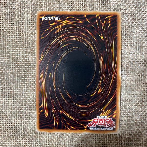Yugioh Dark Magician Girl the Dragon / PAC1-KR023 / Prismatic Secret Rare / Gift