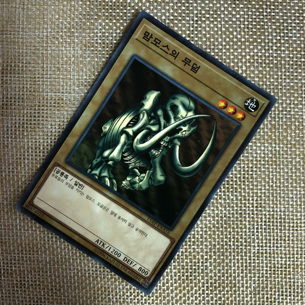 Yugioh Mammoth Graveyard / 15AY-KRA16 / Common Rare / Korean Ver / Mint / Gift
