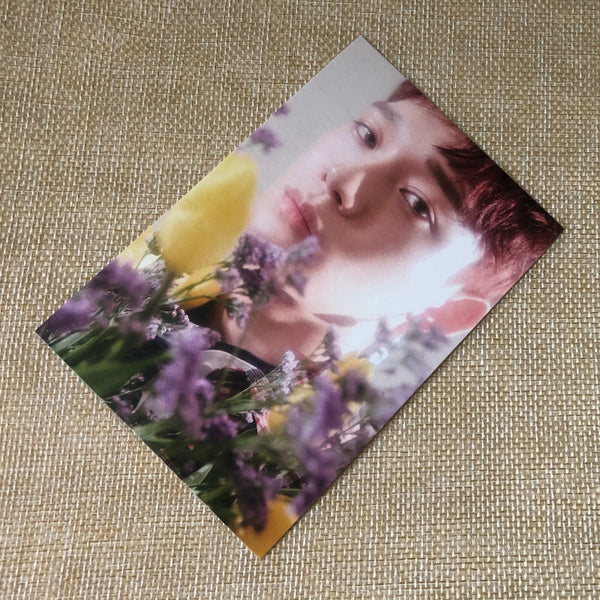EXO CHEN [CBX BLOOMING DAYS] Official Postcard, 2nd Mini Album Pre-Order / Gift