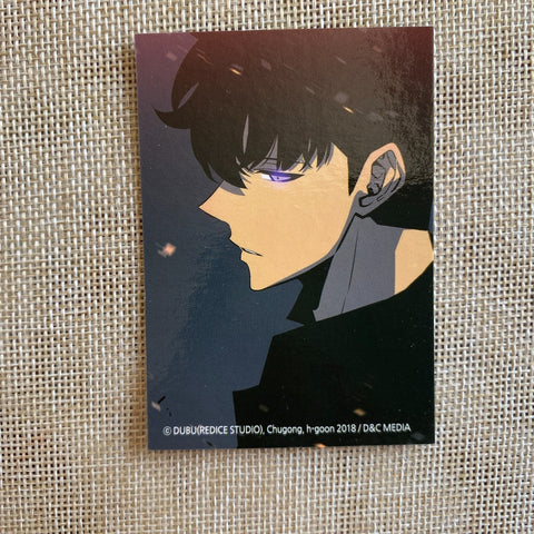 Solo Leveling Sung Jin-woo #4 / Bonus Photocard, First Ed. Rare Card / Gift