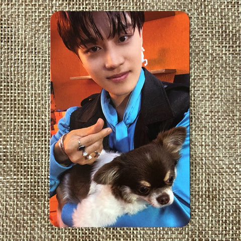 NCT 127 TAEIL [ STICKER ] Official Photocard, STICKER Ver. / New / Gift