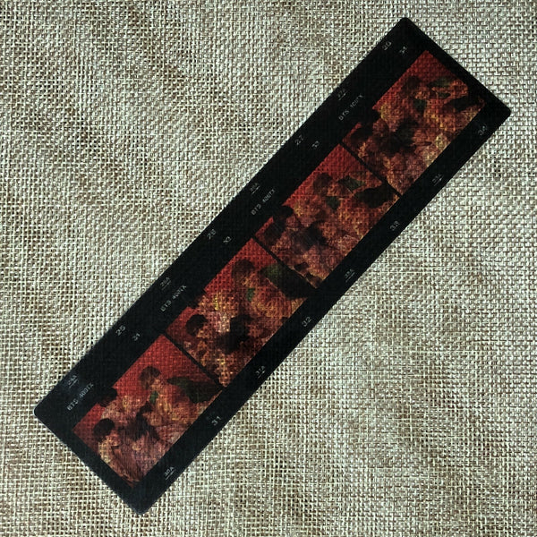 BTS GROUP [ Map of the Soul PERSONA ] Official Film Strip Photocard / New / Gift