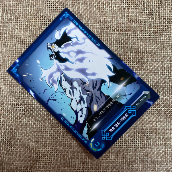 Solo Leveling SL 029 U Card | Korean Webtoon | Official D&C Media | New, +Gift