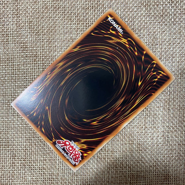 Yugioh Dark Magician Girl the Dragon / PAC1-KR023 / Prismatic Secret Rare / Gift