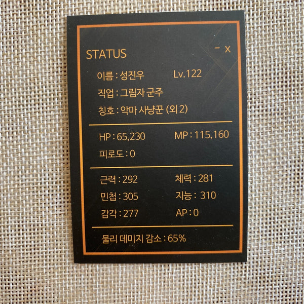 Solo Leveling Sung Jin-woo #4 / Bonus Photocard, First Ed. Rare Card / Gift