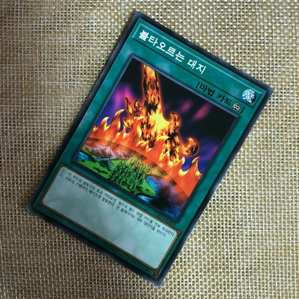Yugioh Burning Land / 15AY-KRA31 / Common Rare / Korean Ver / Mint / Gift