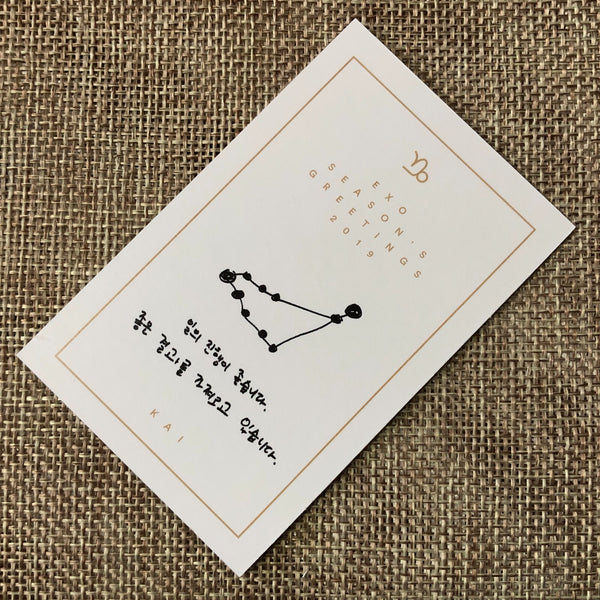 EXO KAI [ 2019 Season's Greetings ] Official Limited Photocard / New / Gift