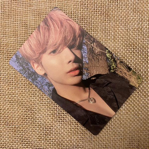 TXT TAEHYUN [The Name Chapter Temptation] Official Photocard, Daydream / Gift