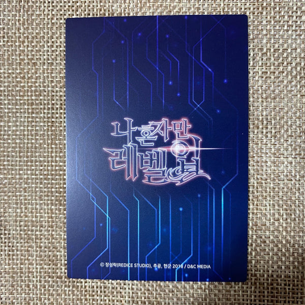 Solo Leveling SL 012 Rare R Holo Card / Korean Webtoon Trading Card / New / Gift