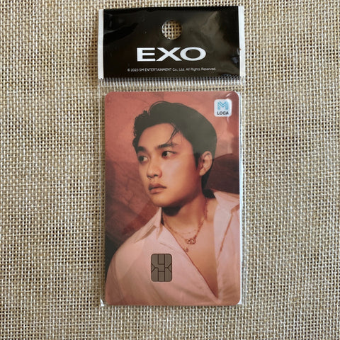 EXO D.O [ LOCA M ] Official Transportation Card Photocard, SMTOWN / New / Gift