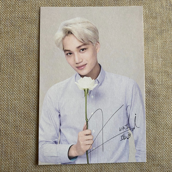 EXO KAI [Nature Republic] Official Limited Postcard Photocard / New, Rare / Gift