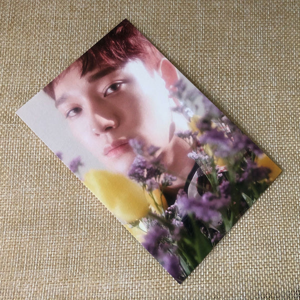 EXO CHEN [CBX BLOOMING DAYS] Official Postcard, 2nd Mini Album Pre-Order / Gift