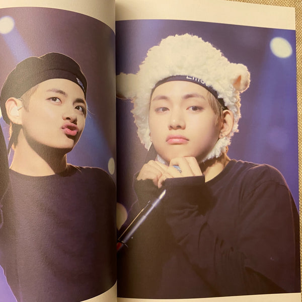 BTS V [ IN THE SNOW Exhibition Photobook CRESCENDO ] 44 pg, 21x29cm / New / Gift