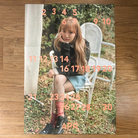 RED VELVET WENDY [ 2018 Season's Greetings ] Official Folded Poster / New / Gift