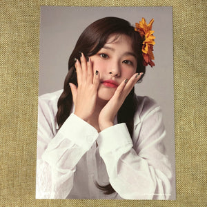 RED VELVET SEULGI #1 [ 2019 Season's Greetings ] Official A4 Poster / New / Gift