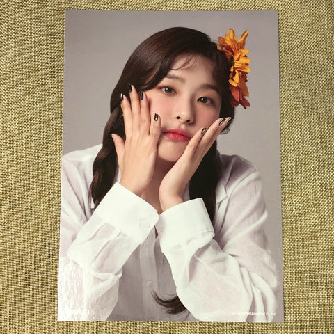 RED VELVET SEULGI #1 [ 2019 Season's Greetings ] Official A4 Poster / New / Gift
