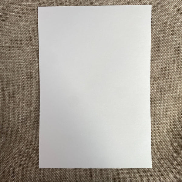 EXO CHEN [ 2020 Season's Greetings ] Official A4 Size Poster / New, Rare / Gift