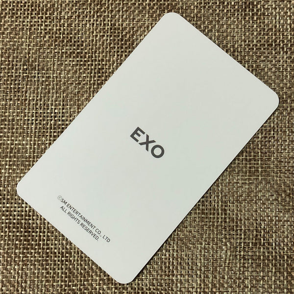 EXO BAEKHYUN [ 2019 Season's Greetings ] Official Limited Photocard / New / Gift