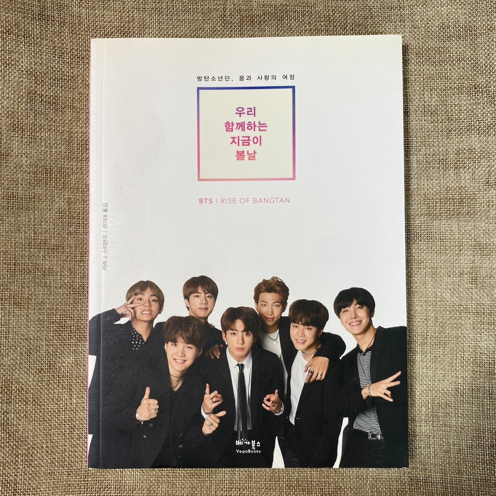 BTS GROUP [ RISE OF BANGTAN Fan Book Photobook ] Korean / New, Rare / Gift