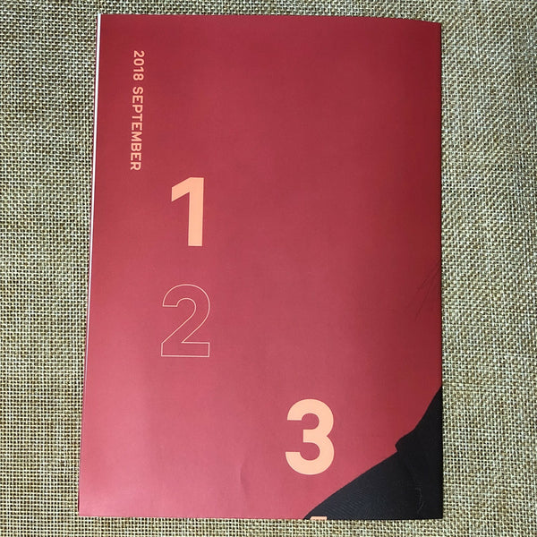 RED VELVET SEULGI #2 [2018 Season's Greetings] Official Folded Poster / Gift