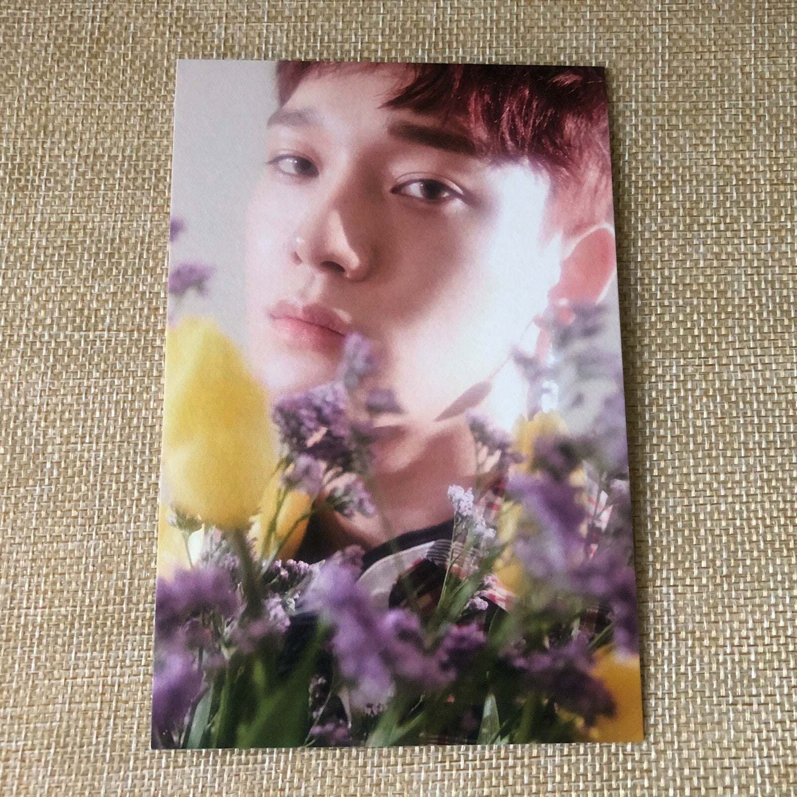EXO CHEN [CBX BLOOMING DAYS] Official Postcard, 2nd Mini Album Pre-Order / Gift