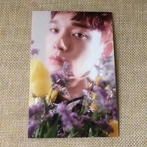 EXO CHEN [CBX BLOOMING DAYS] Official Postcard, 2nd Mini Album Pre-Order / Gift