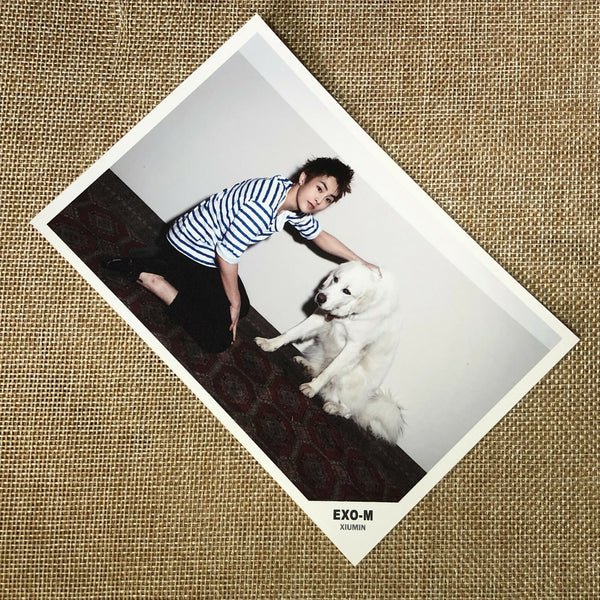 EXO XIUMIN [EXO-M Debut Pop Up Store Everysing] Postcard Set of 2, SM / Gift
