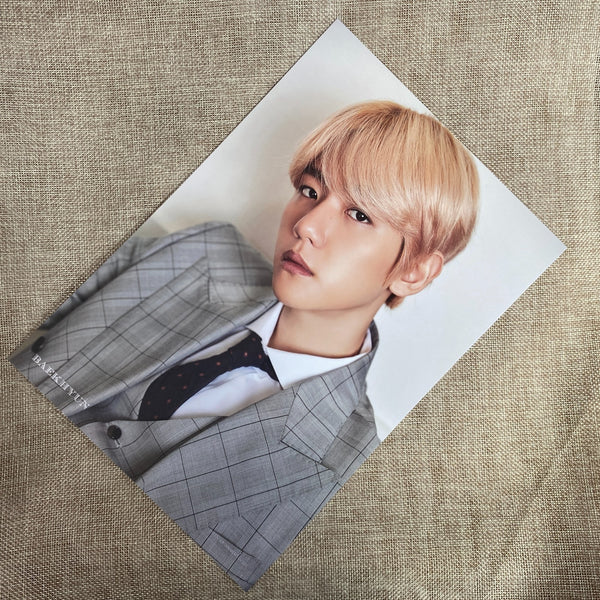 EXO BAEKHYUN #1 [ 2020 Season's Greetings ] Official A4 Size Poster / New / Gift
