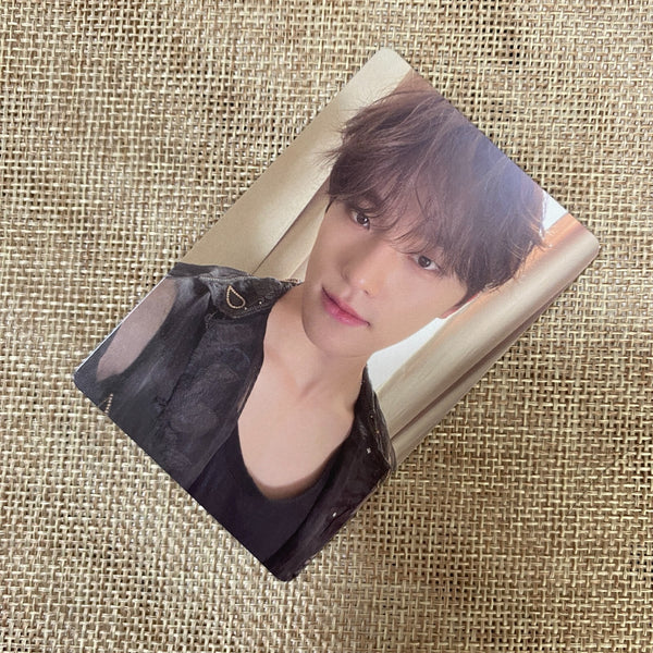 SEVENTEEN DINO [ Fight For My Life ] Official Photocard / New / Gift