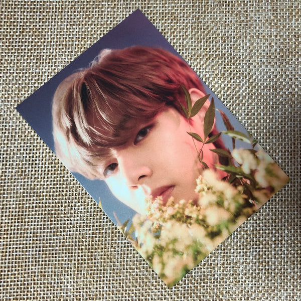 BTS V TAEHYUNG [ HYBE INSIGHT ] Official Photocard SET of 2 / New / Gift