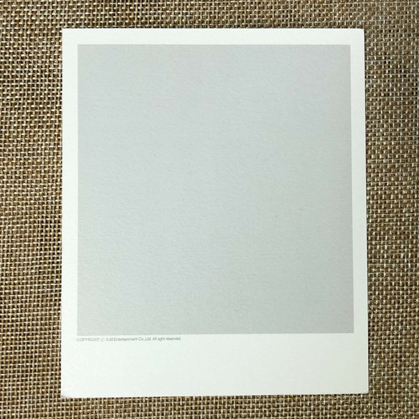 EXO LAY #1 [SM] Official Goods Polaroid Photocard Set of 2, Postcard / Gift