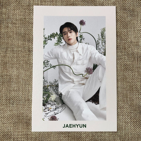 NCT 127 JAEHYUN [NATURE REPUBLIC CICA Wonderland MD] Official Postcard / Gift