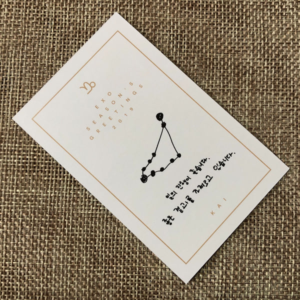 EXO KAI [ 2019 Season's Greetings ] Official Limited Photocard / New / Gift