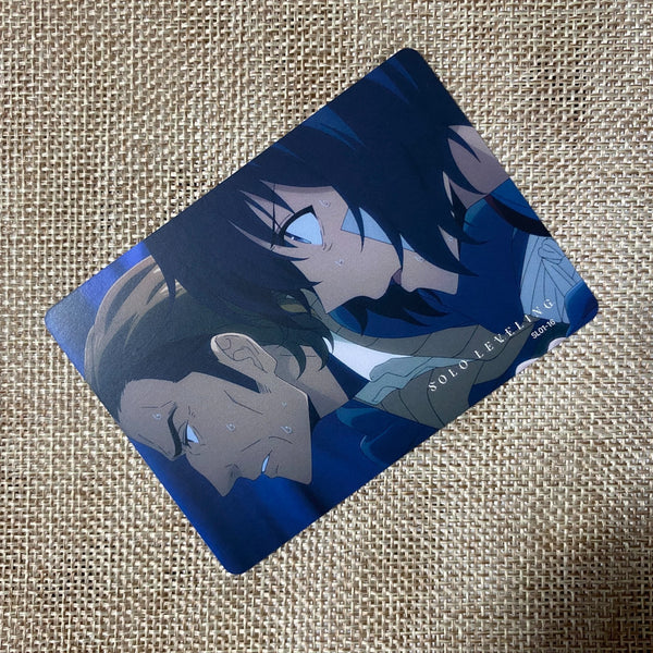 45276166