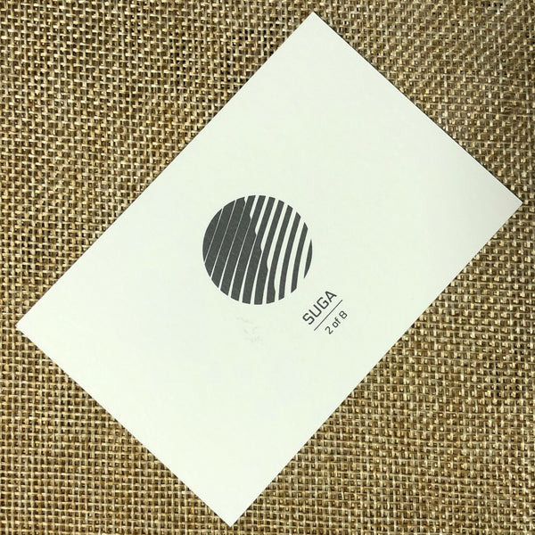 BTS SUGA 2/8 [The Wings Tour Final Concert] Official Mini Photocard / New / Gift
