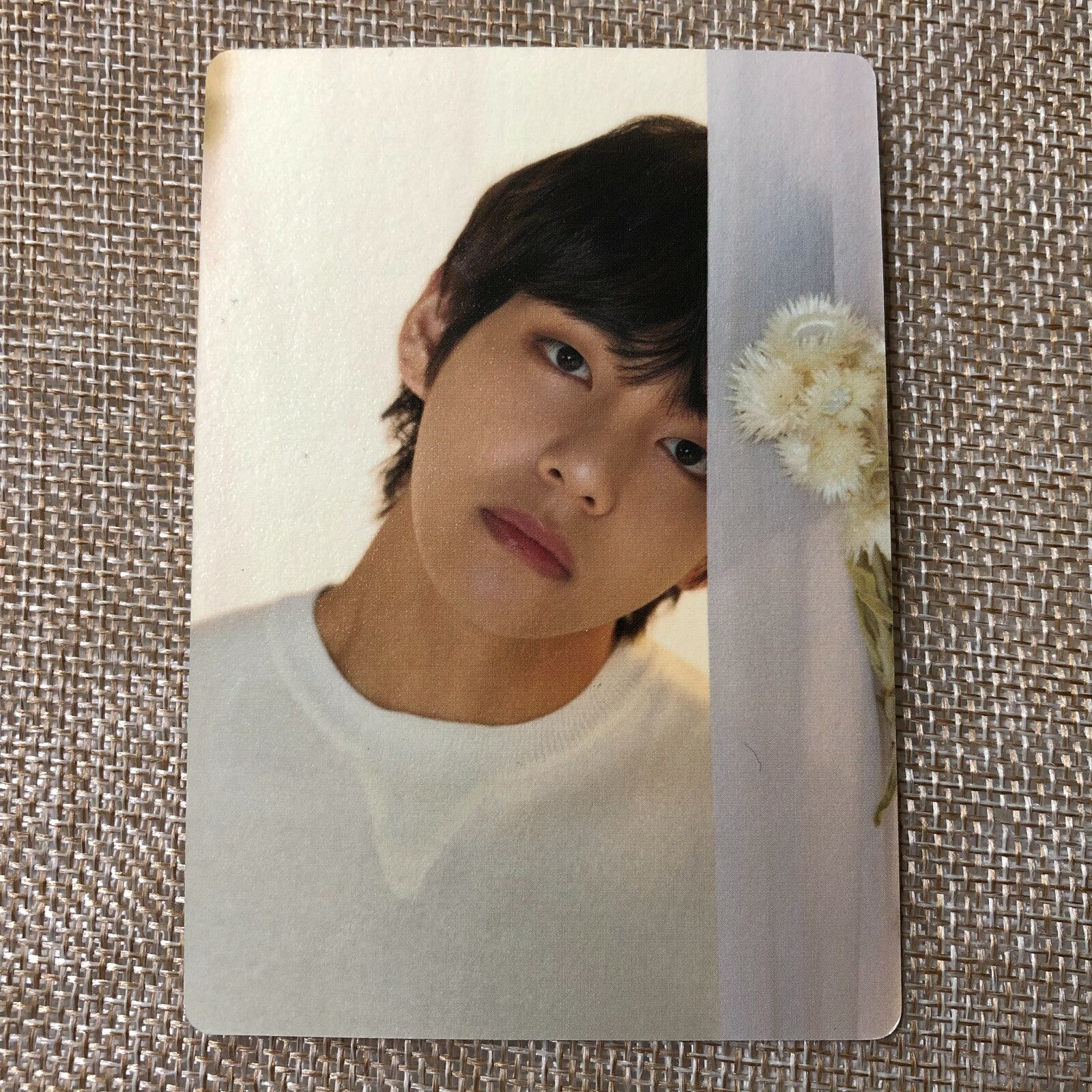 BTS V 2/8 [ Love Yourself World Tour ] Official Mini Photocard / New / Gift