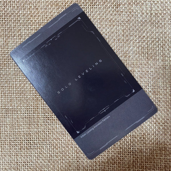 44833906