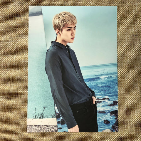 EXO SEHUN [ 2017 Season's Greetings ] Official Postcard / New / Gift