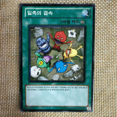 Yugioh Solidarity / SD20-KR031 / Common Rare / Korean / Mint / Gift