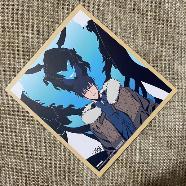 Solo Leveling Official Mini Shikishi Art Board #2 / Korean Webtoon / New, Rare