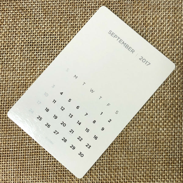 EXO CHANYEOL [2017 Season's Greetings] Official Mini Calendar Photocard / Gift