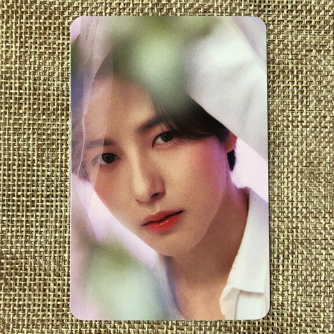 NCT DREAM RENJUN #2 [ CANDYLAB ] Official Photocard / New, Rare / Gift