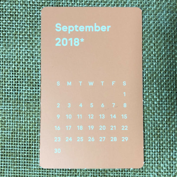 RED VELVET SEULGI #2 [2018 Season's Greetings Calendar] Official Photocard /+G