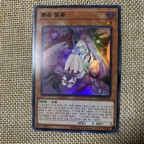 Yugioh Red Blossoms from Underroot / RC03-KR019 / Secret Rare Korean / Mint /+G