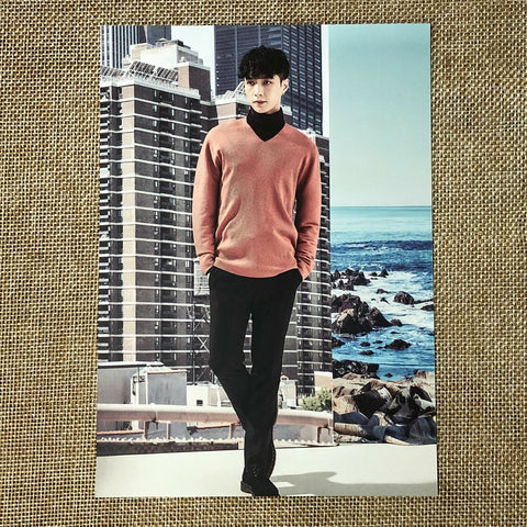 EXO LAY [ 2017 Season's Greetings ] Official Postcard / New / Gift
